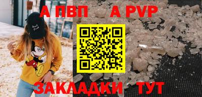 крисы Кингисепп