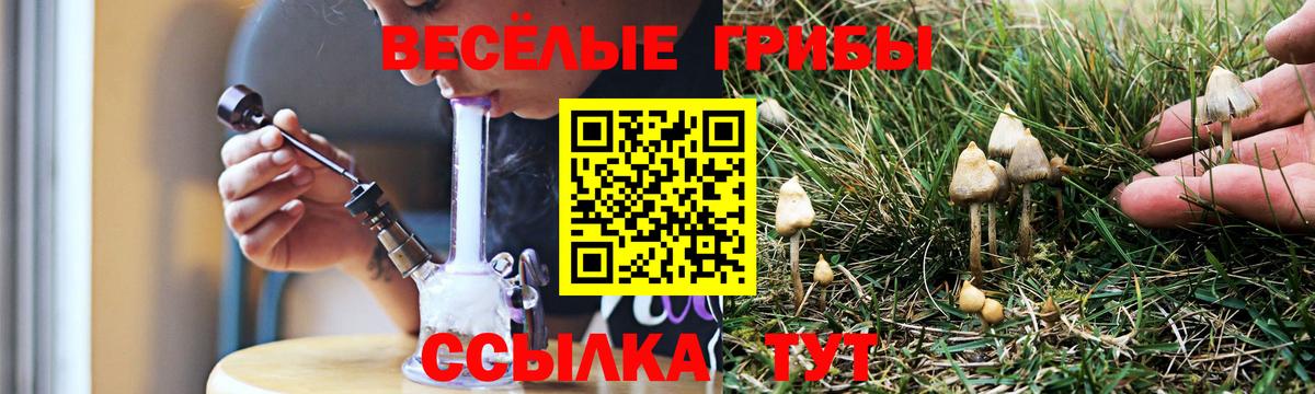 Галлюциногенные грибы MAGIC MUSHROOMS Вологда